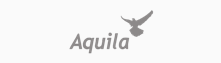 Aquila UAS