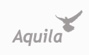 Aquila UAS